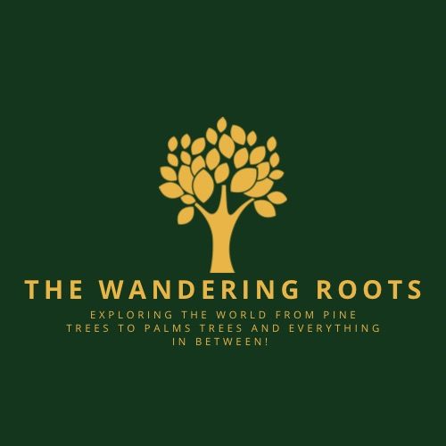 The Wandering Roots